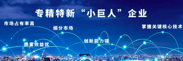 洞察＂专精特新＂